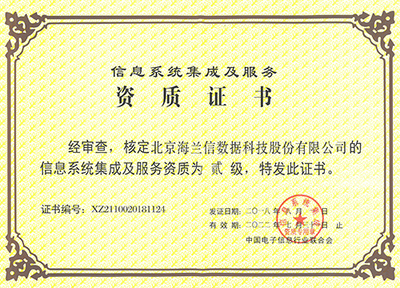 網(wǎng)絡技術服務資質與榮譽 專業(yè)實力的權威見證